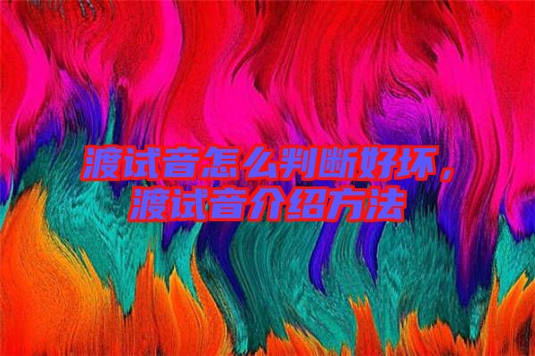 渡試音怎么判斷好壞，渡試音介紹方法