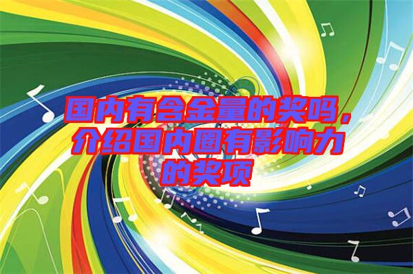 國內(nèi)有含金量的獎嗎，介紹國內(nèi)圈有影響力的獎項