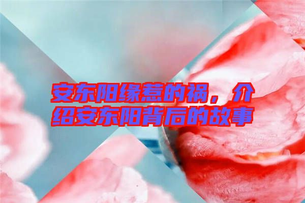 安東陽緣惹的禍，介紹安東陽背后的故事