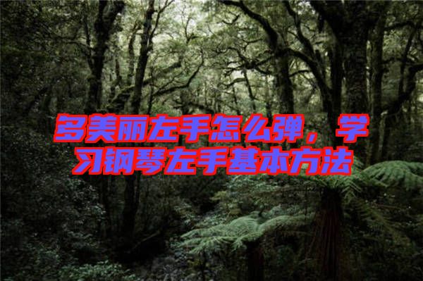 多美麗左手怎么彈，學(xué)習(xí)鋼琴左手基本方法