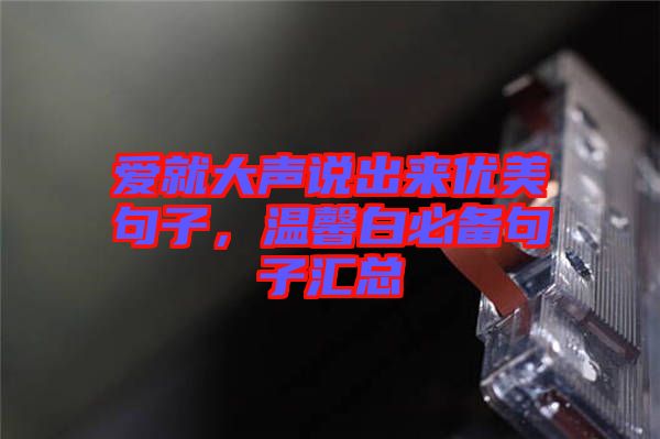 愛就大聲說出來優(yōu)美句子，溫馨白必備句子匯總