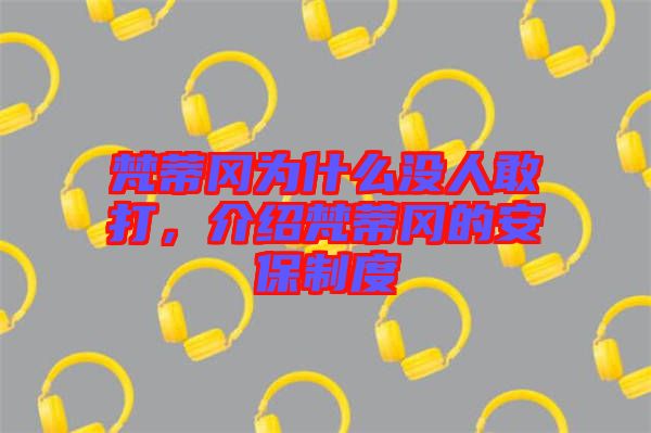 梵蒂岡為什么沒(méi)人敢打，介紹梵蒂岡的安保制度