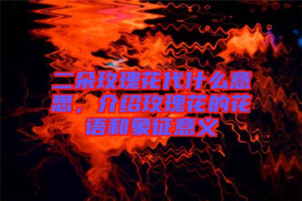 二朵玫瑰花代什么意思，介紹玫瑰花的花語和象征意義