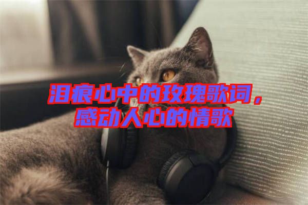 淚痕心中的玫瑰歌詞，感動(dòng)人心的情歌