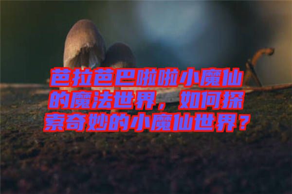 芭拉芭巴啦啦小魔仙的魔法世界，如何探索奇妙的小魔仙世界？
