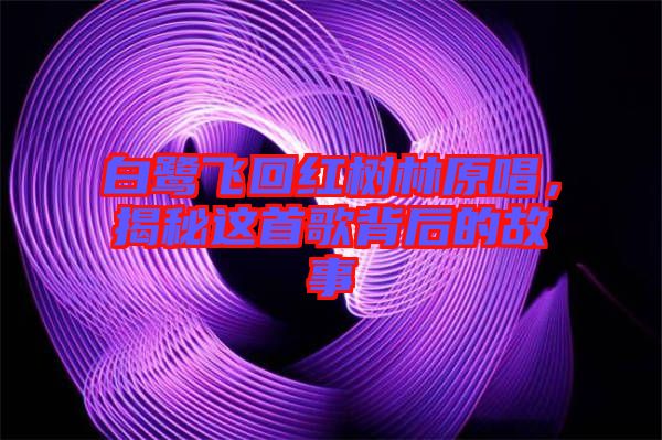 白鷺飛回紅樹林原唱，揭秘這首歌背后的故事