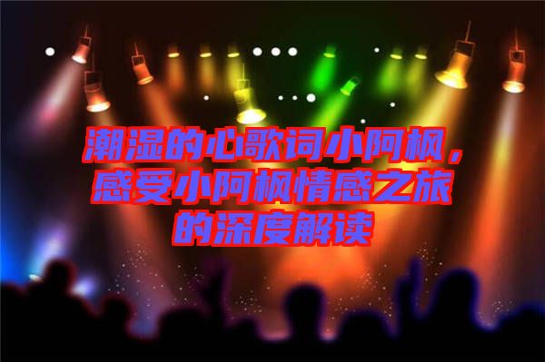 潮濕的心歌詞小阿楓，感受小阿楓情感之旅的深度解讀