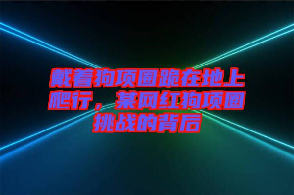 戴著狗項(xiàng)圈跪在地上爬行，某網(wǎng)紅狗項(xiàng)圈挑戰(zhàn)的背后