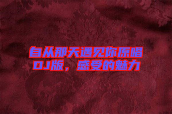 自從那天遇見你原唱DJ版，感受的魅力