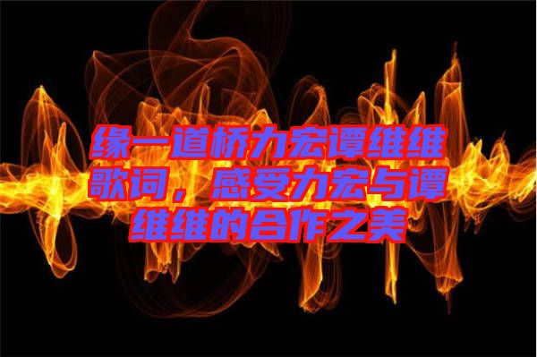 緣一道橋力宏譚維維歌詞，感受力宏與譚維維的合作之美