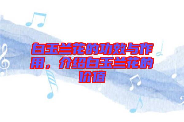白玉蘭花的功效與作用，介紹白玉蘭花的價(jià)值