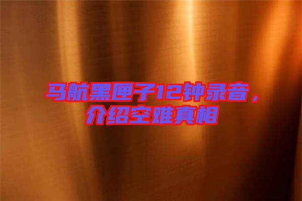 馬航黑匣子12鐘錄音，介紹空難真相