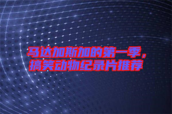 馬達(dá)加斯加的第一季，搞笑動(dòng)物紀(jì)錄片推薦
