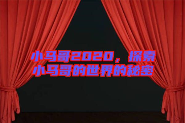 小馬哥2020，探索小馬哥的世界的秘密