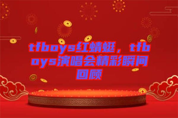 tfboys紅蜻蜓，tfboys演唱會(huì)精彩瞬間回顧