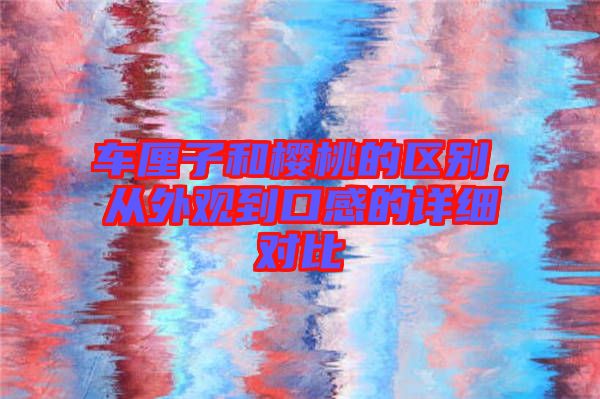 車?yán)遄雍蜋烟业膮^(qū)別，從外觀到口感的詳細(xì)對比