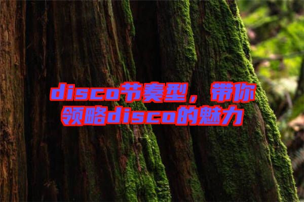 disco節(jié)奏型，帶你領略disco的魅力