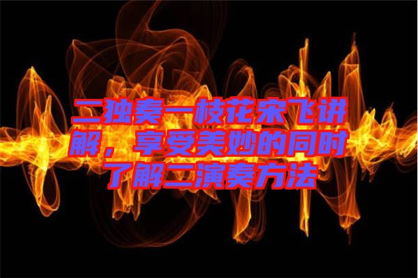 二獨奏一枝花宋飛講解，享受美妙的同時了解二演奏方法