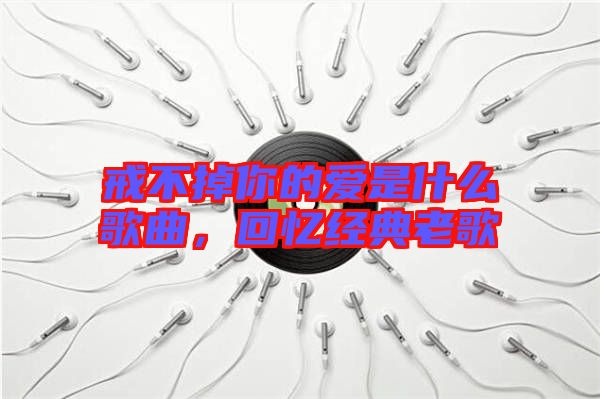 戒不掉你的愛(ài)是什么歌曲，回憶經(jīng)典老歌
