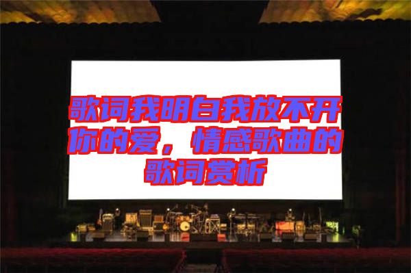 歌詞我明白我放不開你的愛，情感歌曲的歌詞賞析