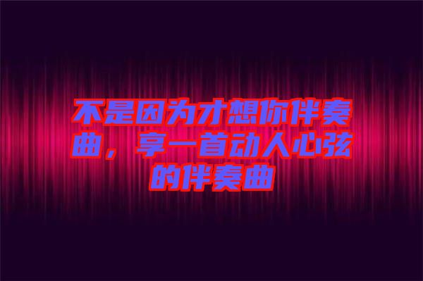 不是因為才想你伴奏曲，享一首動人心弦的伴奏曲