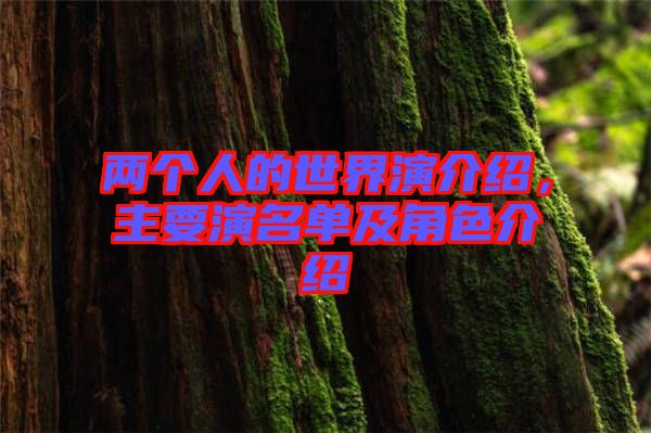 兩個人的世界演介紹，主要演名單及角色介紹