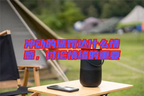 沖動的懲罰達(dá)什么情感，討論情緒的重要