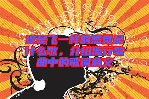 這是飛一樣的感覺是什么歌，介紹流行歌曲中的歌詞意義
