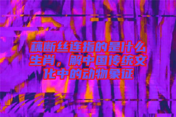 藕斷絲連指的是什么生肖，解中國(guó)傳統(tǒng)文化中的動(dòng)物象征