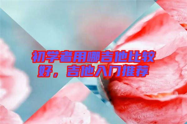 初學(xué)者用哪吉他比較好，吉他入門推薦