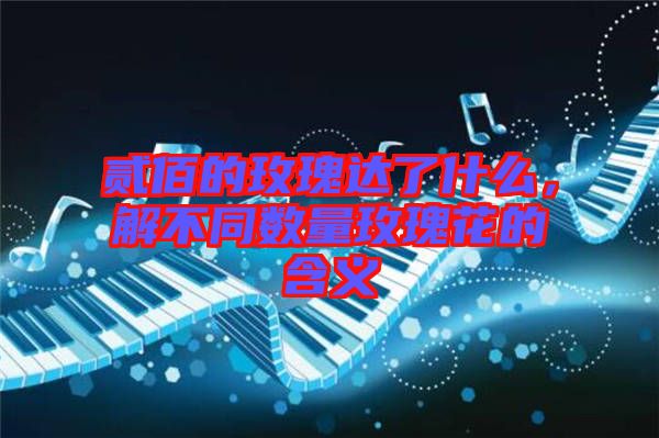 貳佰的玫瑰達(dá)了什么，解不同數(shù)量玫瑰花的含義