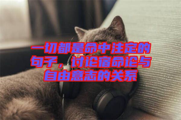 一切都是命中注定的句子，討論宿命論與自由意志的關(guān)系