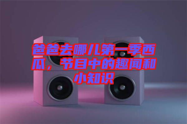 爸爸去哪兒第一季西瓜，節(jié)目中的趣聞和小知識(shí)