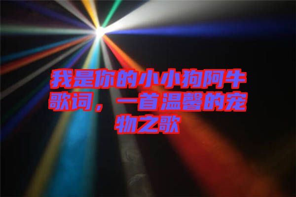 我是你的小小狗阿牛歌詞，一首溫馨的寵物之歌