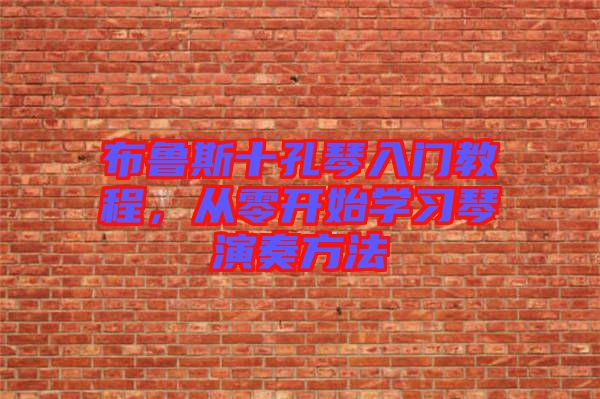 布魯斯十孔琴入門教程，從零開(kāi)始學(xué)習(xí)琴演奏方法