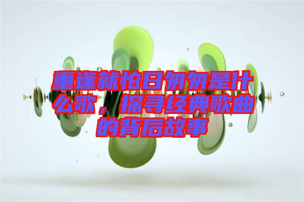 重逢就怕日匆匆是什么歌，探尋經(jīng)典歌曲的背后故事