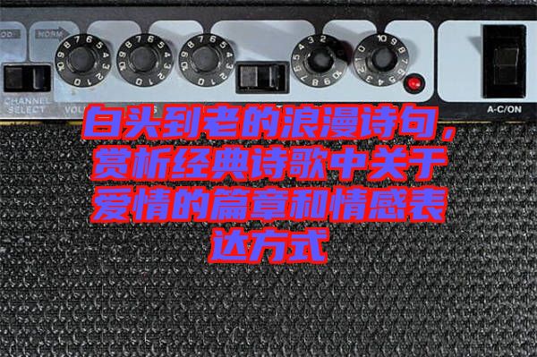 白頭到老的浪漫詩(shī)句，賞析經(jīng)典詩(shī)歌中關(guān)于愛(ài)情的篇章和情感表達(dá)方式