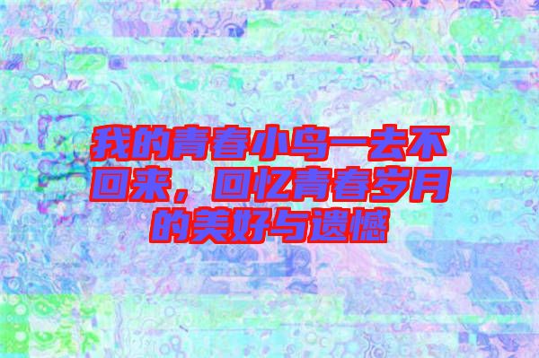 我的青春小鳥一去不回來，回憶青春歲月的美好與遺憾