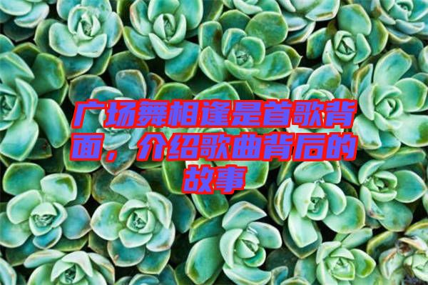 廣場(chǎng)舞相逢是首歌背面，介紹歌曲背后的故事
