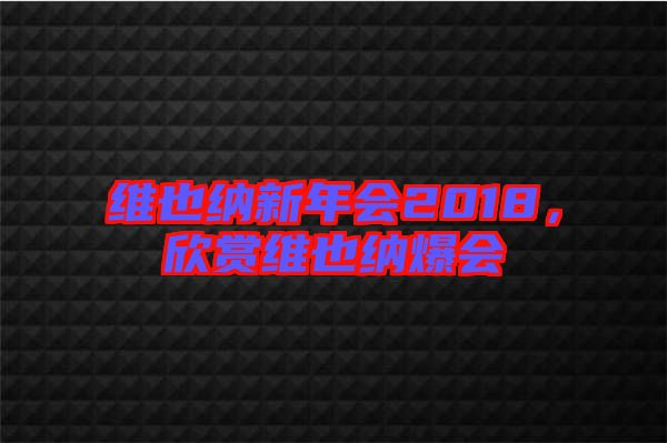 維也納新年會2018，欣賞維也納爆會