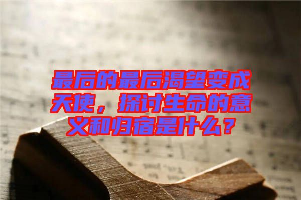 最后的最后渴望變成天使，探討生命的意義和歸宿是什么？