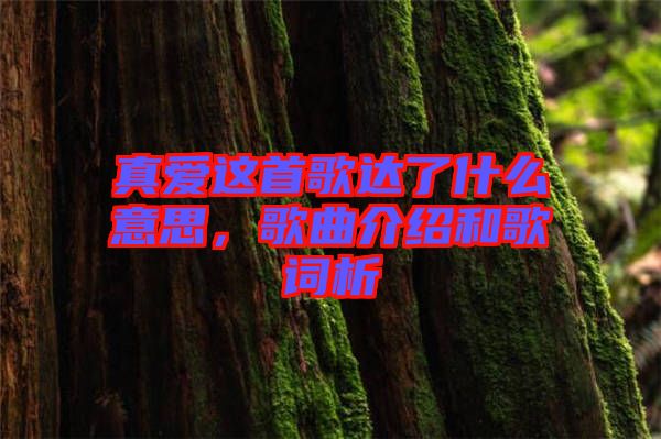 真愛(ài)這首歌達(dá)了什么意思，歌曲介紹和歌詞析