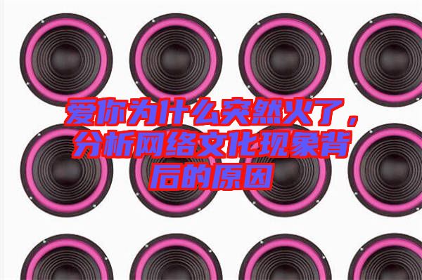 愛(ài)你為什么突然火了，分析網(wǎng)絡(luò)文化現(xiàn)象背后的原因