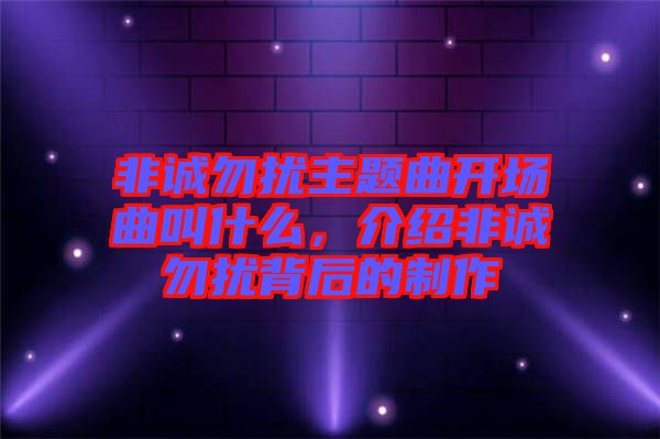 非誠(chéng)勿擾主題曲開(kāi)場(chǎng)曲叫什么，介紹非誠(chéng)勿擾背后的制作