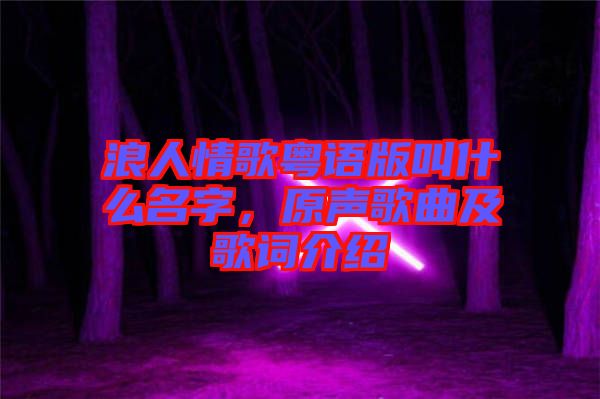 浪人情歌粵語版叫什么名字，原聲歌曲及歌詞介紹