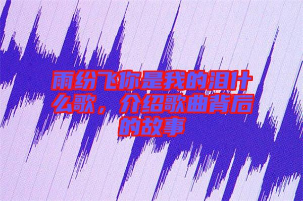 雨紛飛你是我的淚什么歌，介紹歌曲背后的故事