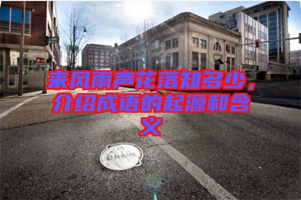 來風(fēng)雨聲花落知多少，介紹成語的起源和含義
