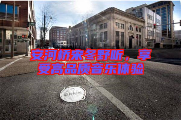 安河橋宋冬野聽，享受高品質(zhì)音樂體驗