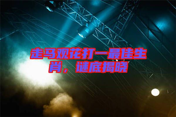 走馬觀花打一最佳生肖，謎底揭曉