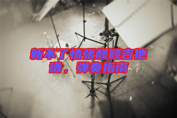 新不了情張靚穎吉他譜，彈奏指南